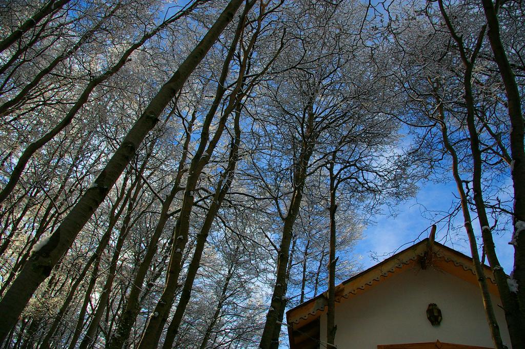 Familia Piatti B&B - Suites Ushuaia Kültér fotó